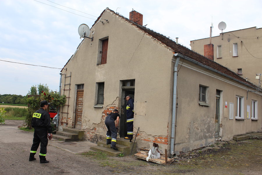 Niecodzienna akcja. Strażacy uratowali kota