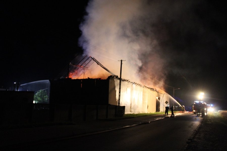 Ogień strawił wszystko. Czy to było podpalenie?