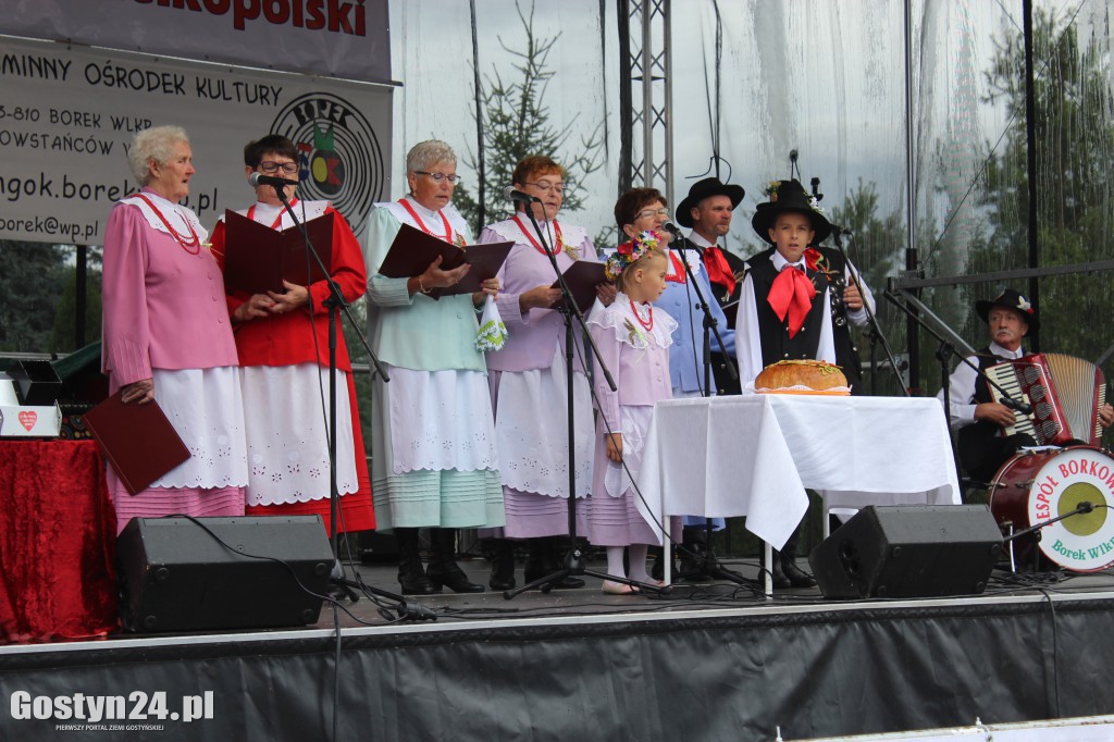 Gminno - parafialne dożynki w Borku Wlkp.