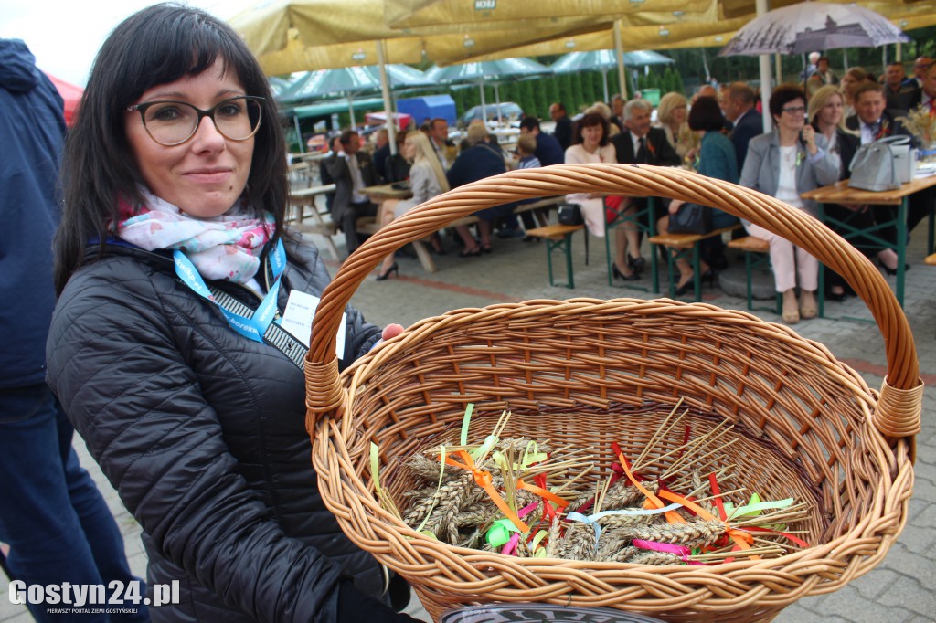 Gminno - parafialne dożynki w Borku Wlkp.