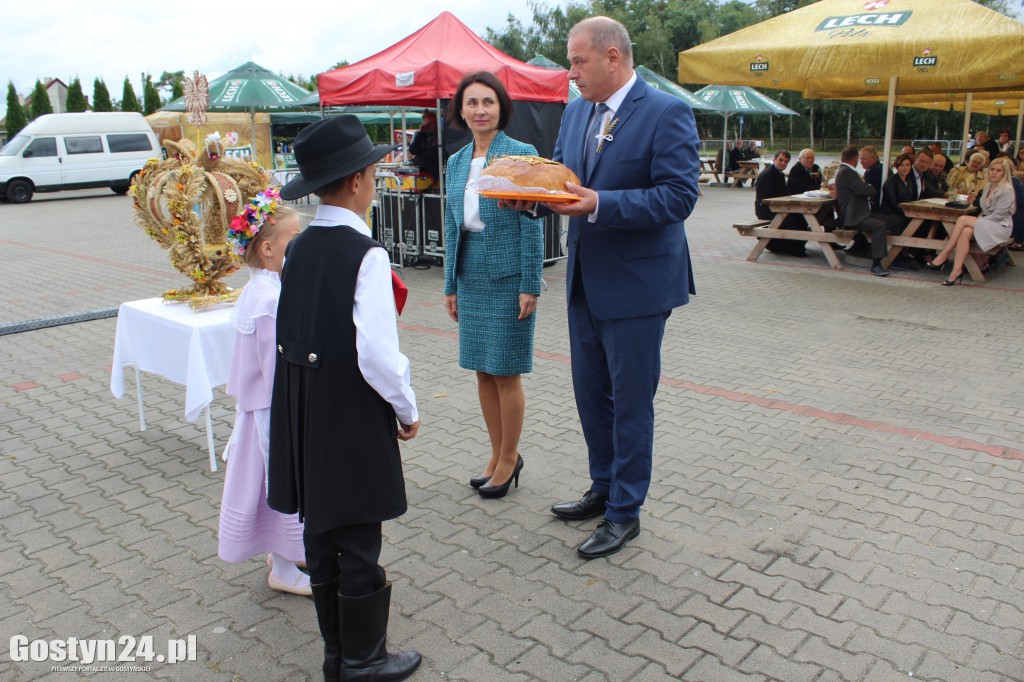 Gminno - parafialne dożynki w Borku Wlkp.