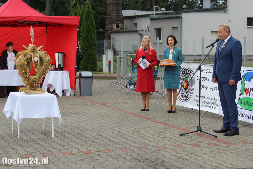 Gminno - parafialne dożynki w Borku Wlkp.