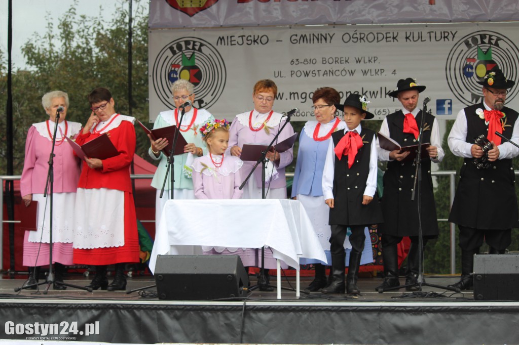 Gminno - parafialne dożynki w Borku Wlkp.