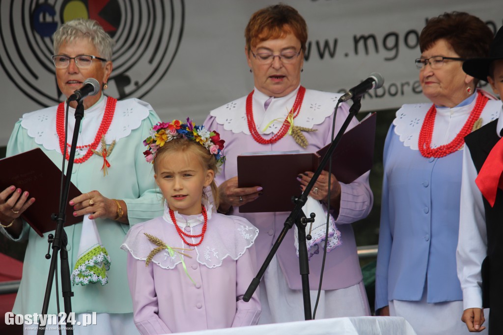 Gminno - parafialne dożynki w Borku Wlkp.