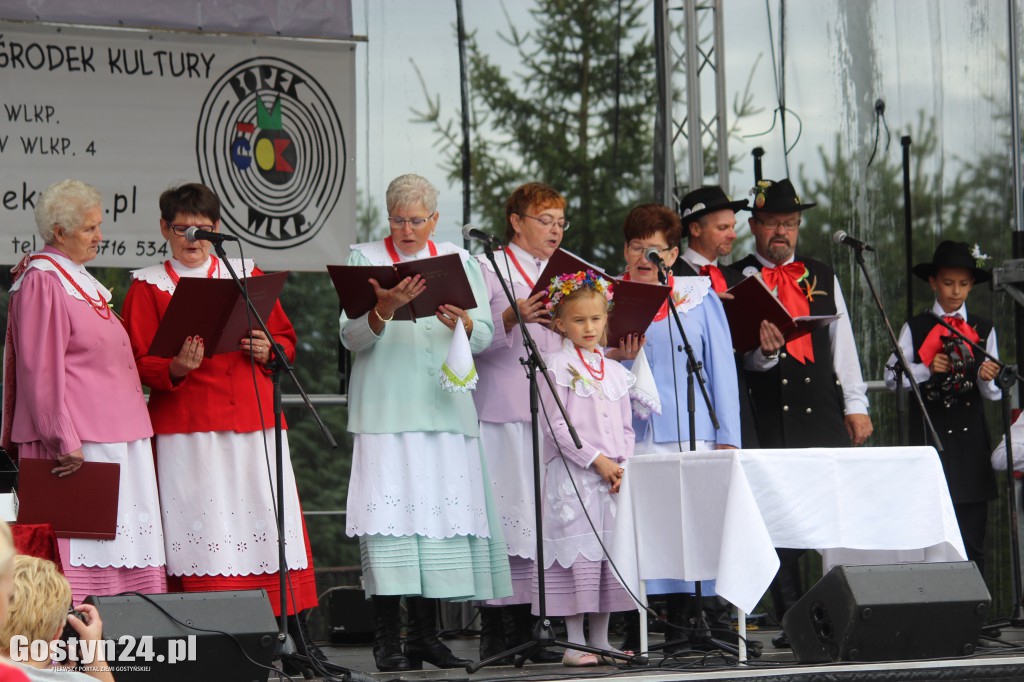 Gminno - parafialne dożynki w Borku Wlkp.