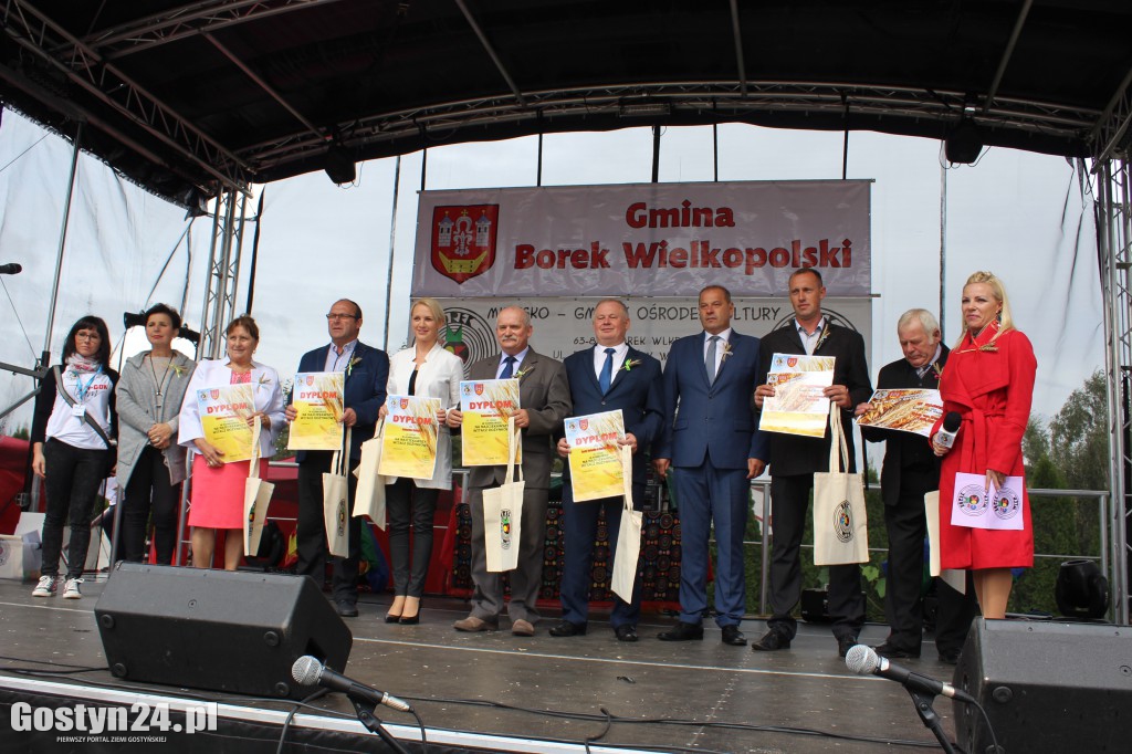 Gminno - parafialne dożynki w Borku Wlkp.