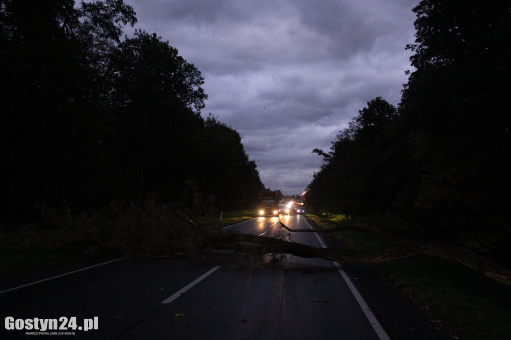 Orkan Ksawery szalał nad powiatem