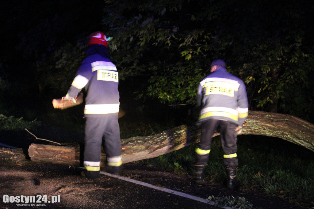 Orkan Ksawery szalał nad powiatem