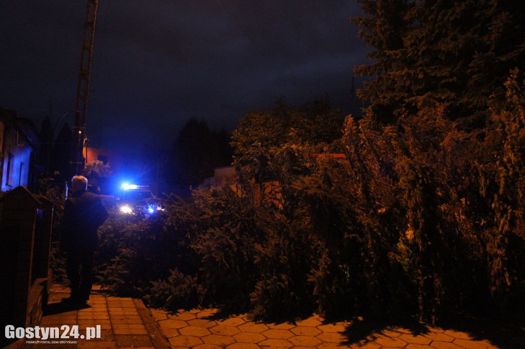 Orkan Ksawery szalał nad powiatem
