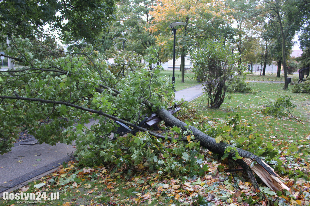 Orkan Ksawery szalał nad powiatem