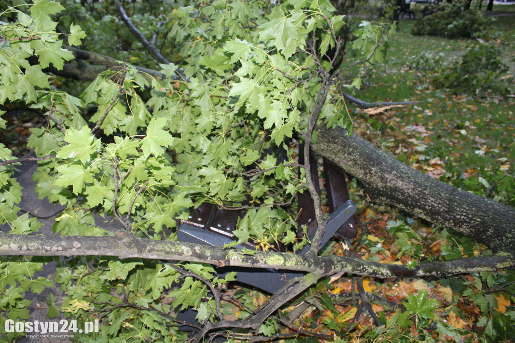 Orkan Ksawery szalał nad powiatem