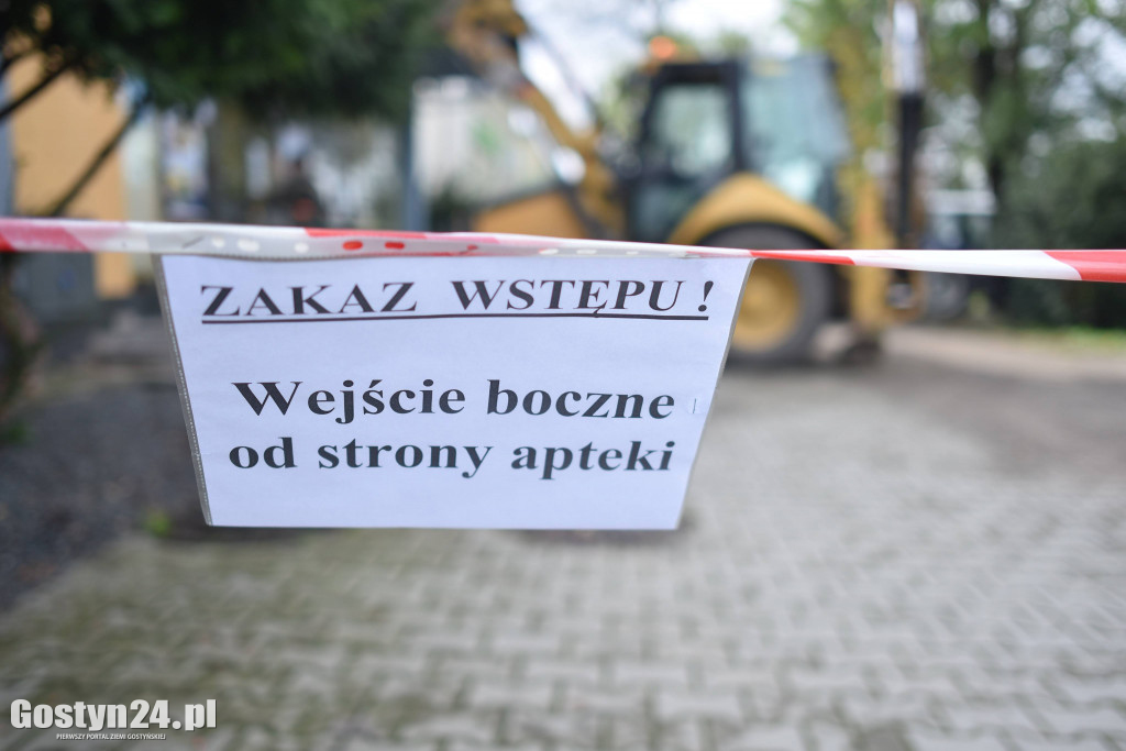 Lipa na Centrum Kultury w Krobi