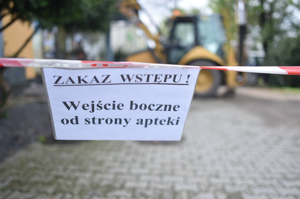 Lipa na Centrum Kultury w Krobi