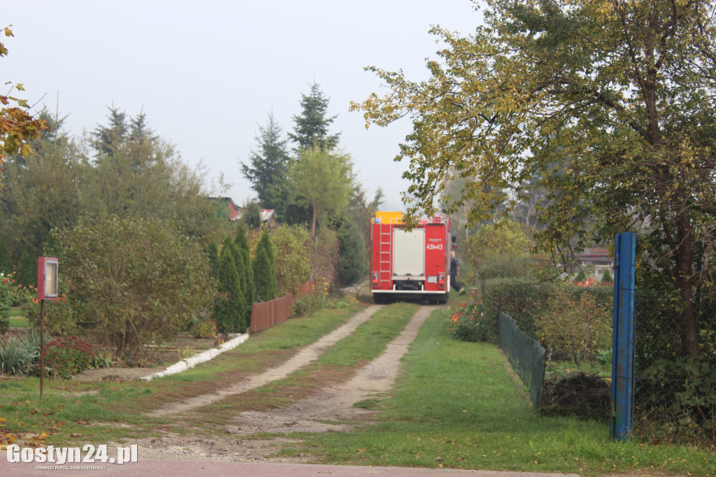 Interwencja straży pożarnej na ogródkach działkowych