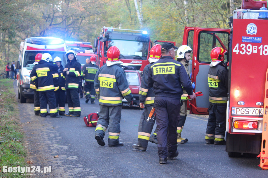 Wypadek na trasie Poniec-Pawłowice