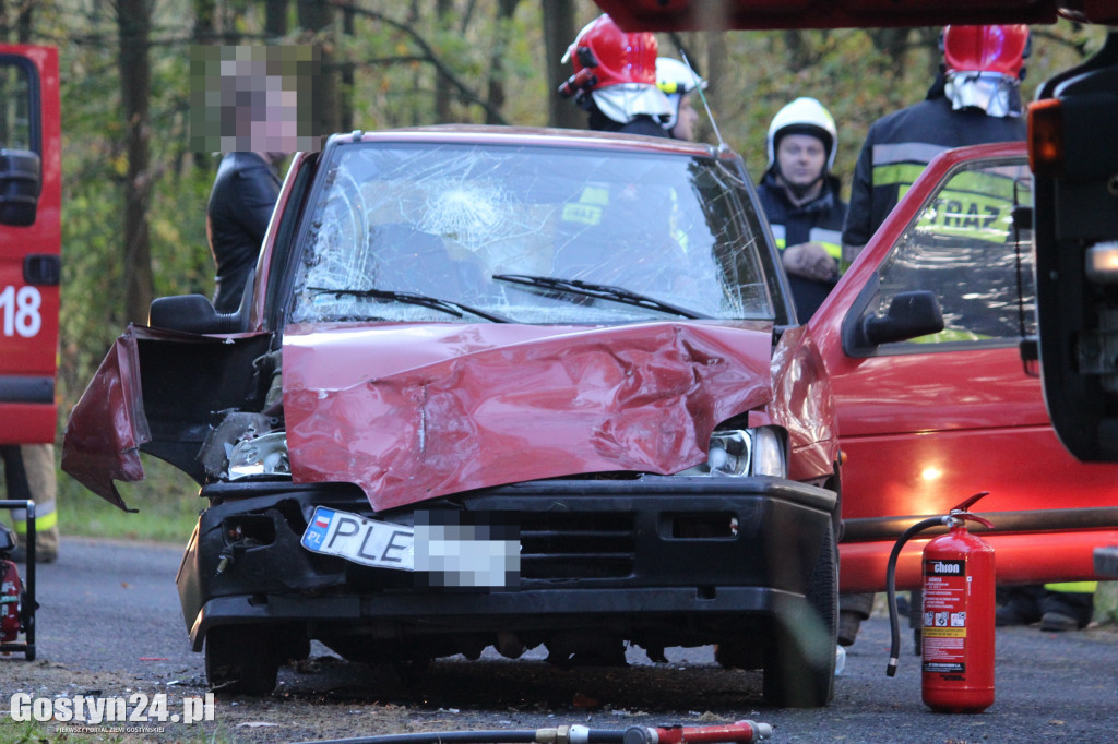 Wypadek na trasie Poniec-Pawłowice