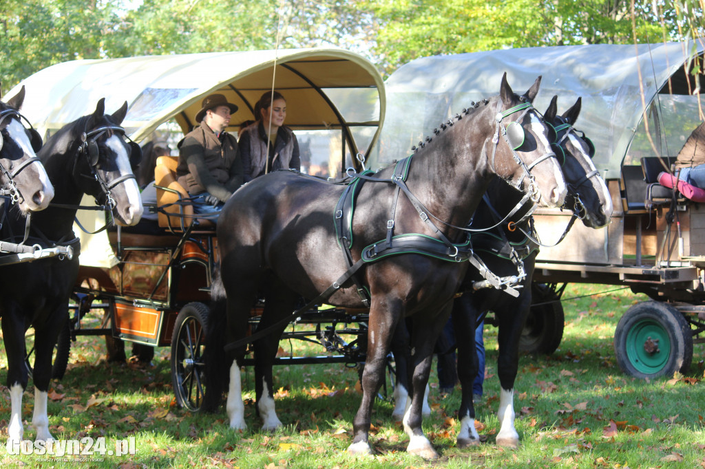 14. Hubertus w rokosowkim zamku
