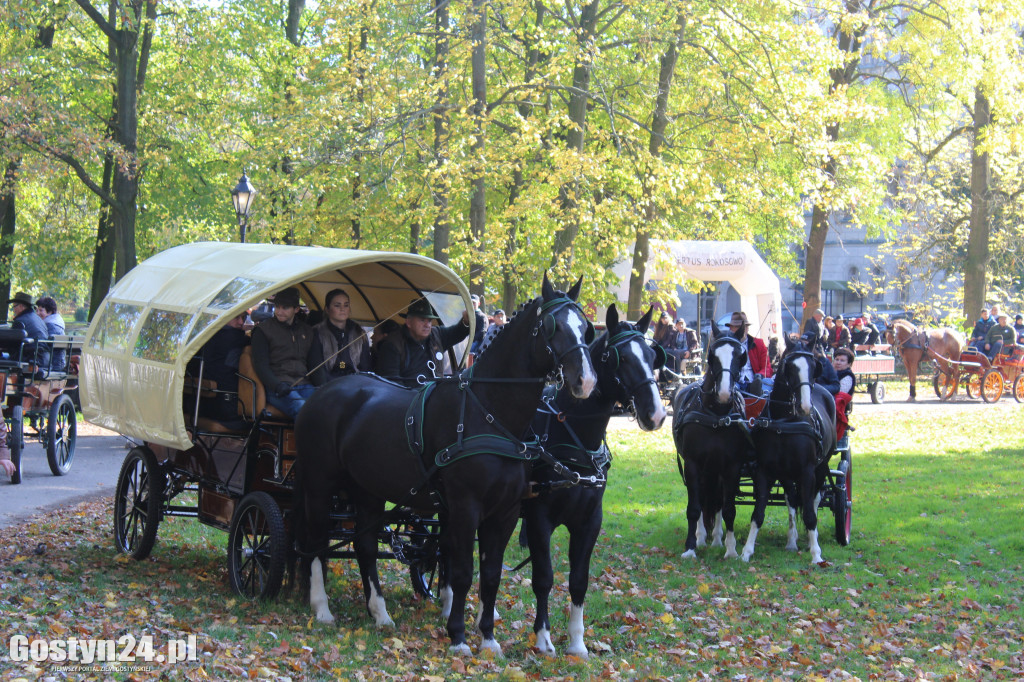14. Hubertus w rokosowkim zamku