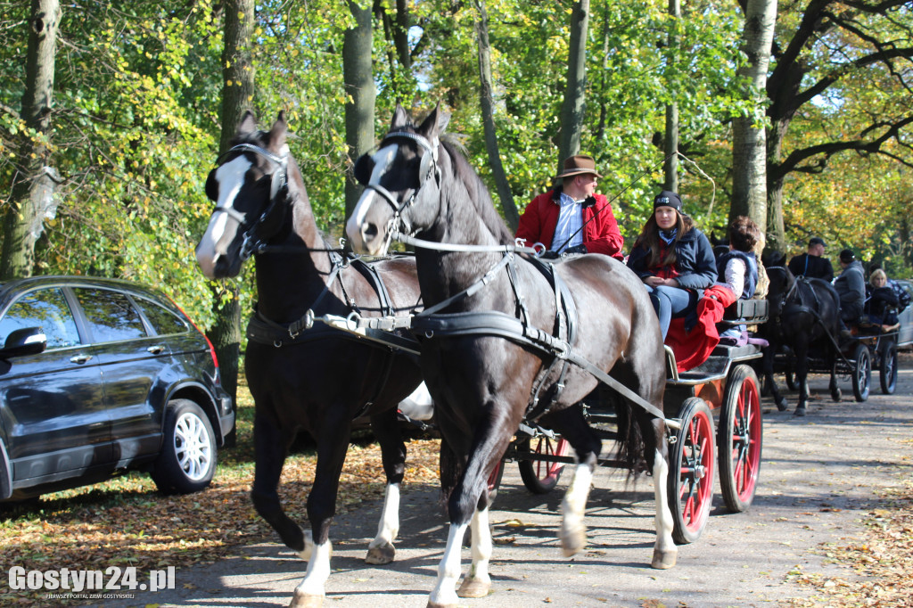 14. Hubertus w rokosowkim zamku