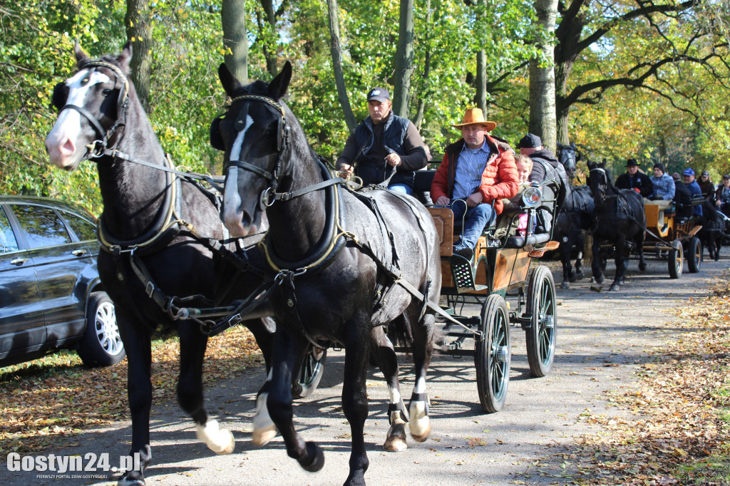 14. Hubertus w rokosowkim zamku