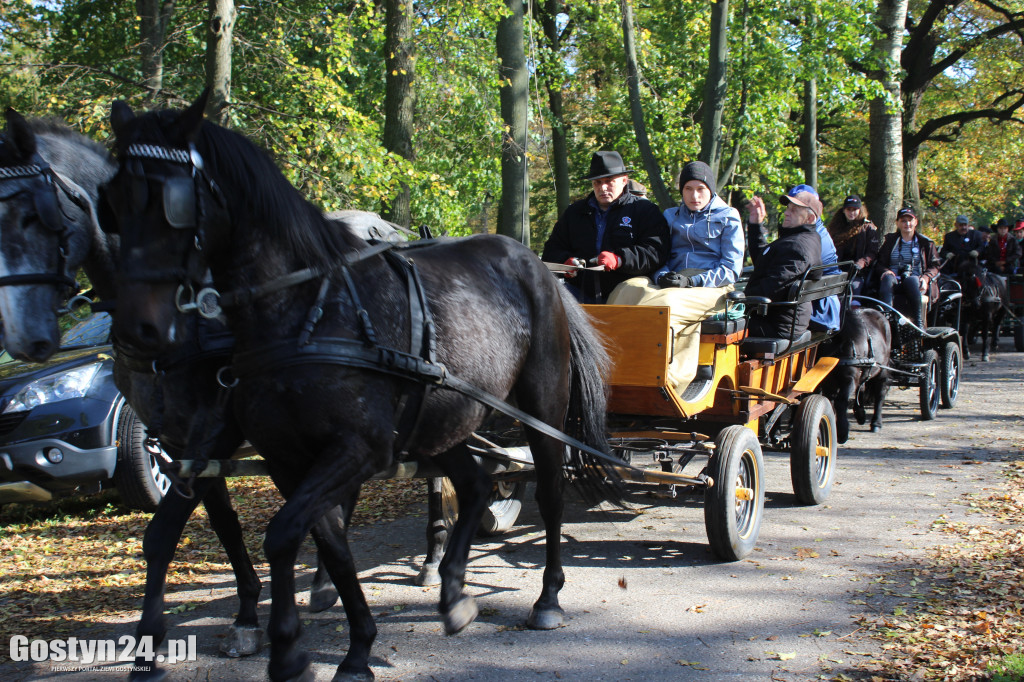14. Hubertus w rokosowkim zamku