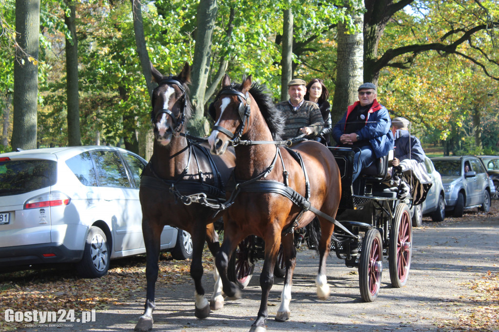 14. Hubertus w rokosowkim zamku