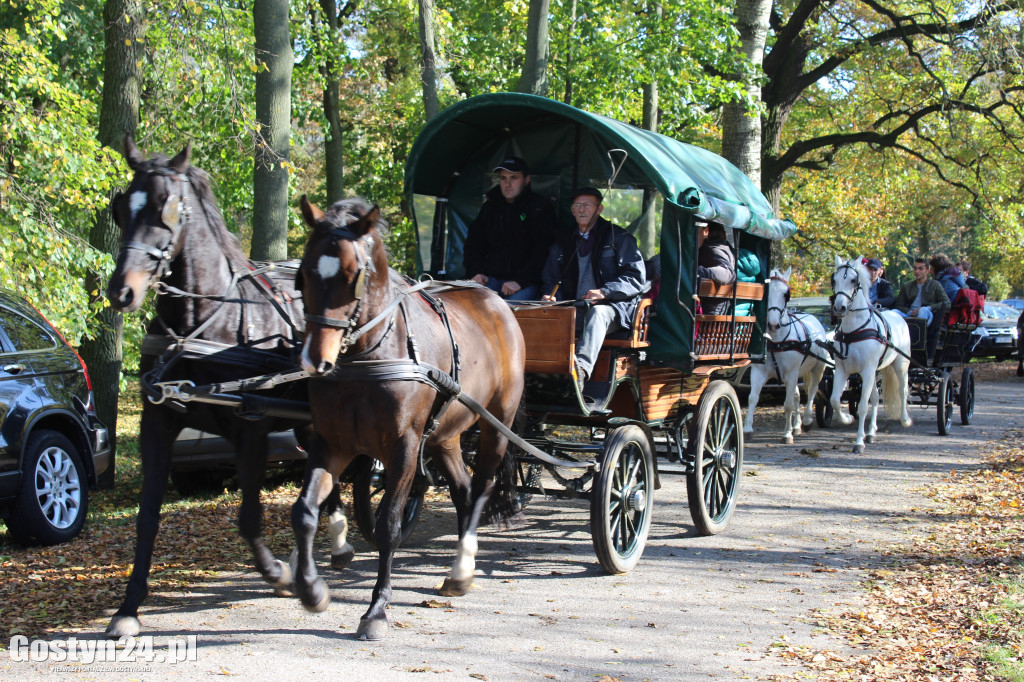 14. Hubertus w rokosowkim zamku