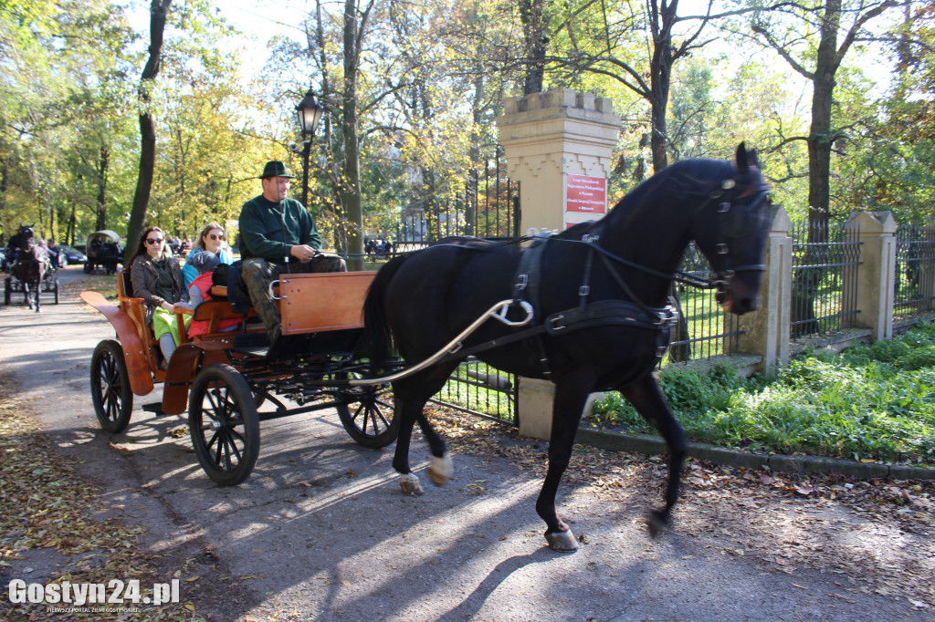 14. Hubertus w rokosowkim zamku