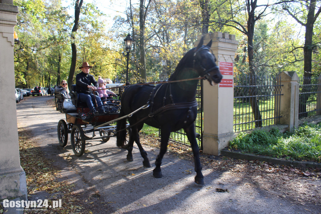 14. Hubertus w rokosowkim zamku