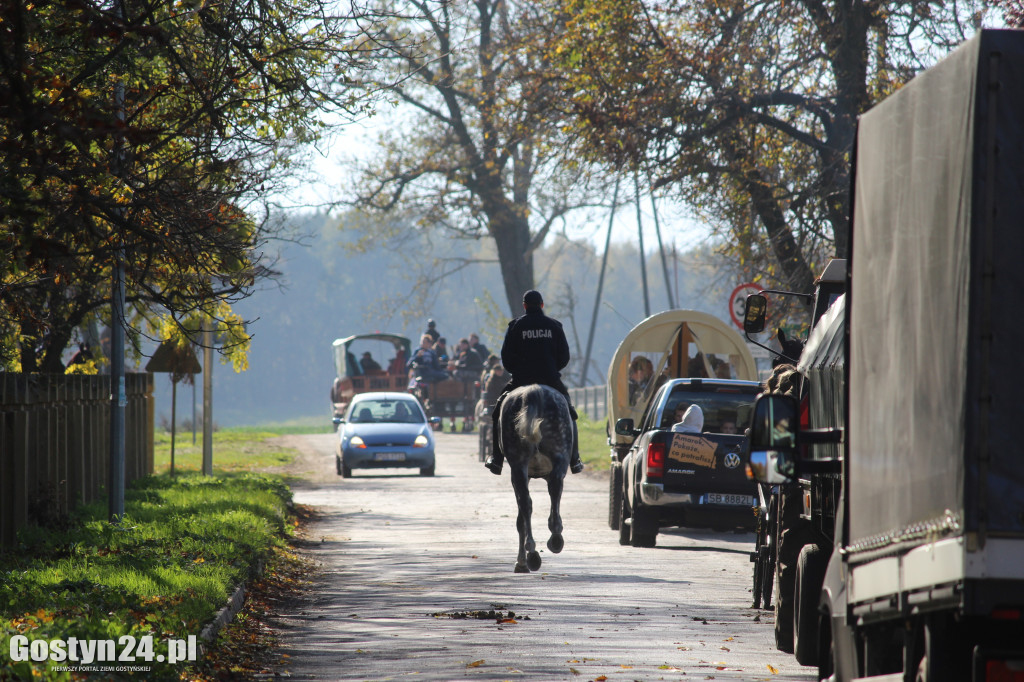 14. Hubertus w rokosowkim zamku