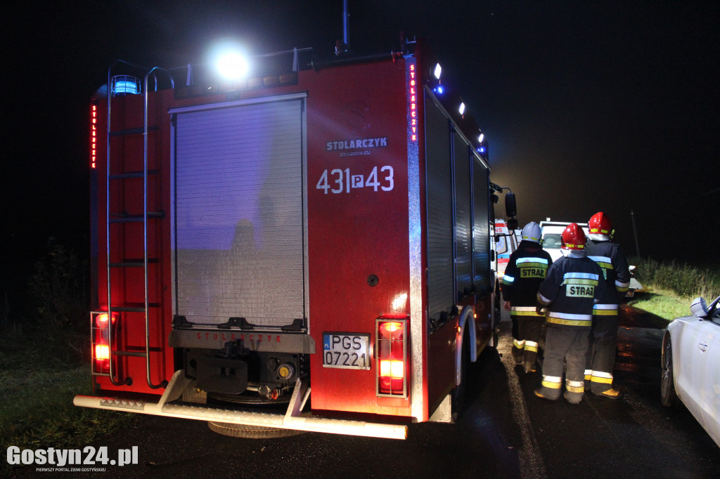 Zderzenie dwóch pojazdów na trasie Pogorzela-Gumienice