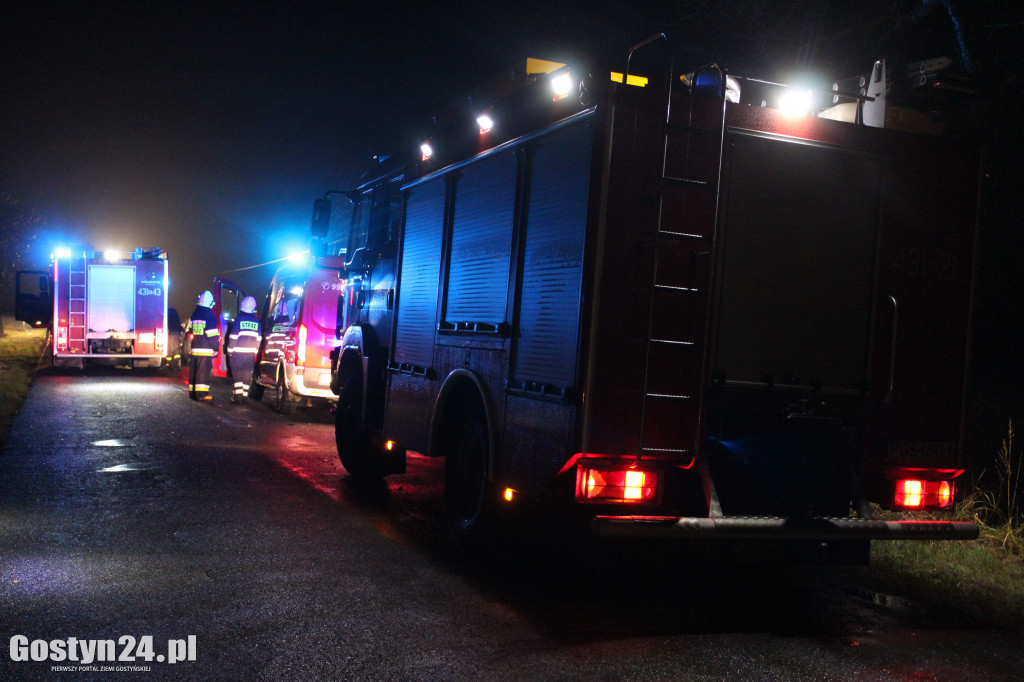 Zderzenie dwóch pojazdów na trasie Pogorzela-Gumienice