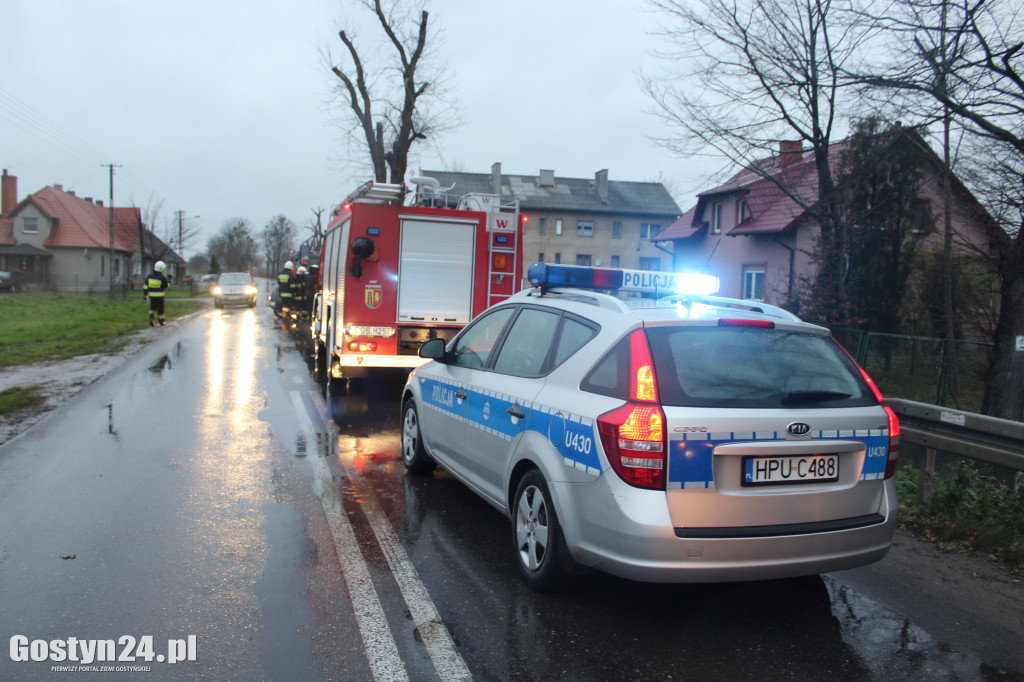 Samochód uderzył w drzewo w miejscowości Gębice