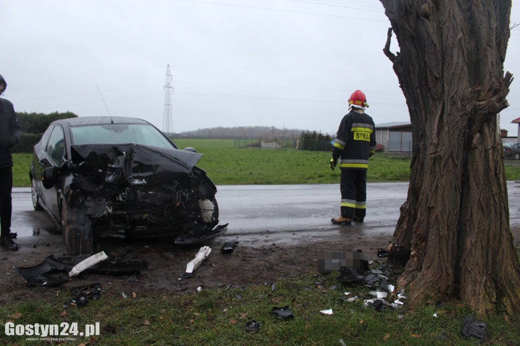 Samochód uderzył w drzewo w miejscowości Gębice