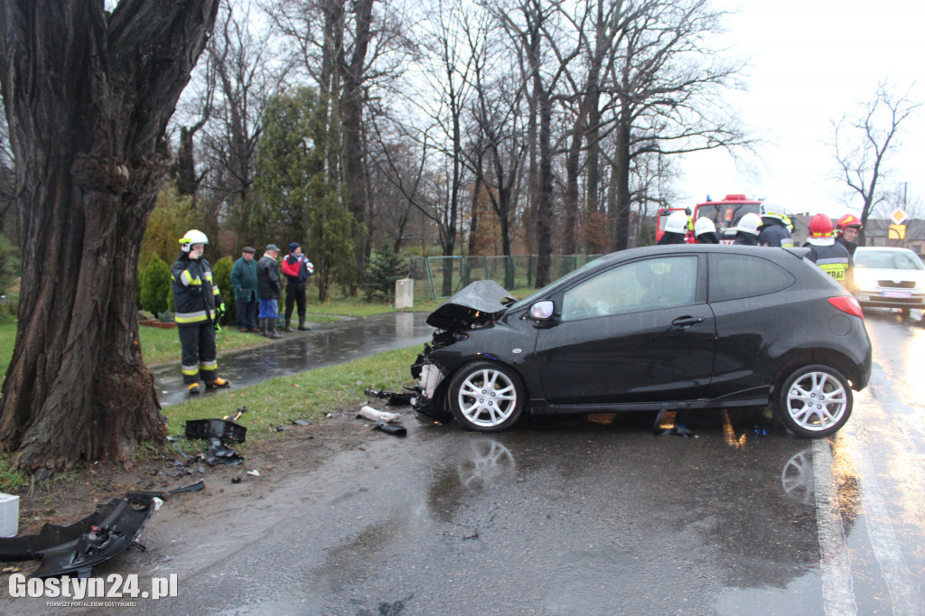 Samochód uderzył w drzewo w miejscowości Gębice
