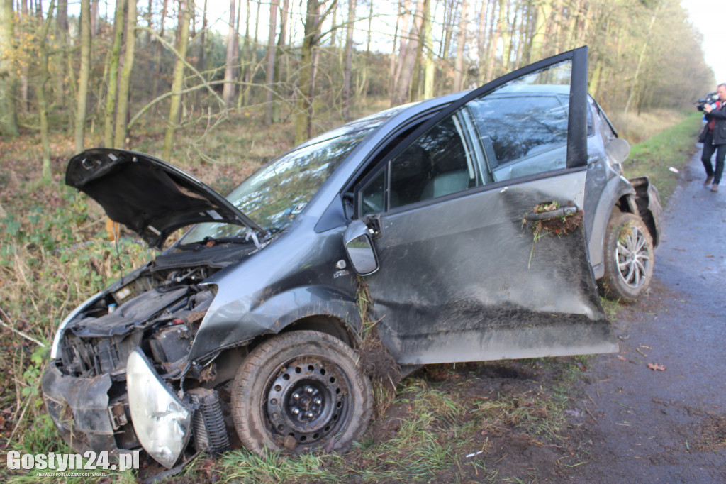 Auto wypadło z drogi na trasie Drzewce-Śmiłowo