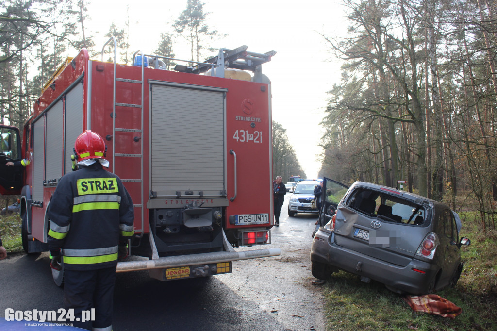Auto wypadło z drogi na trasie Drzewce-Śmiłowo