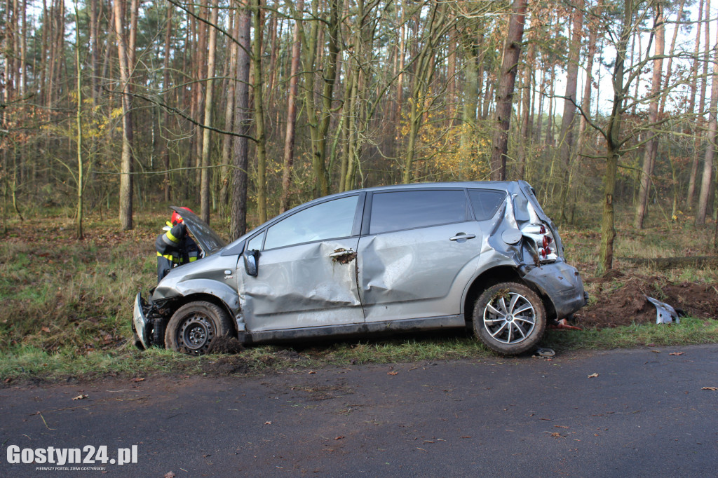 Auto wypadło z drogi na trasie Drzewce-Śmiłowo
