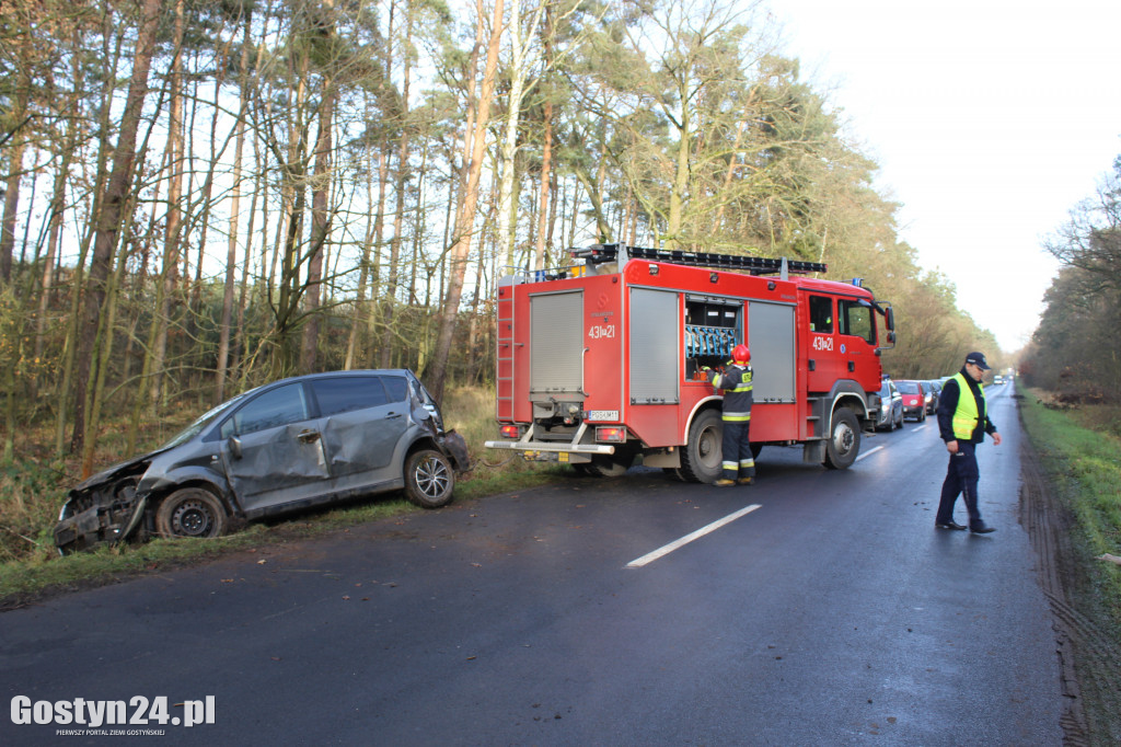 Auto wypadło z drogi na trasie Drzewce-Śmiłowo