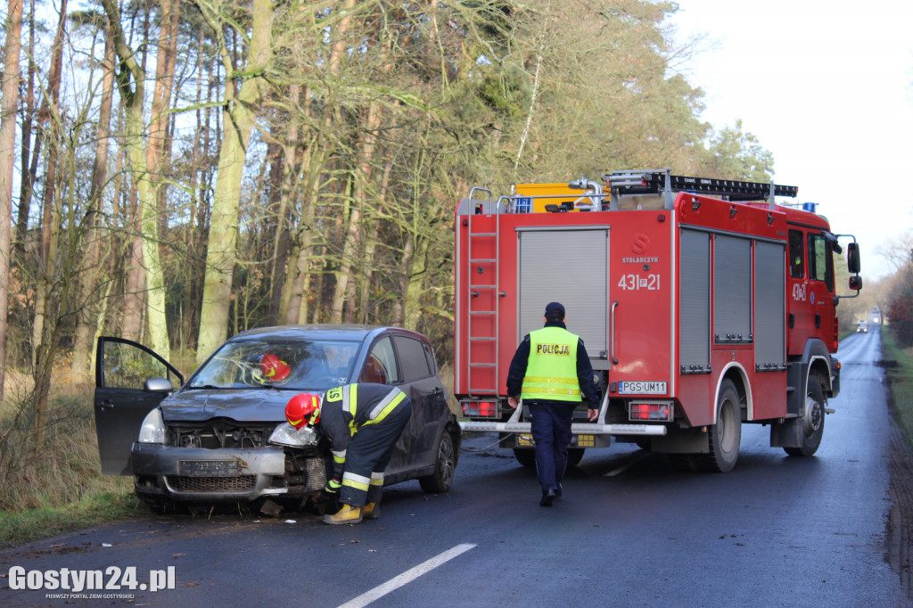 Auto wypadło z drogi na trasie Drzewce-Śmiłowo