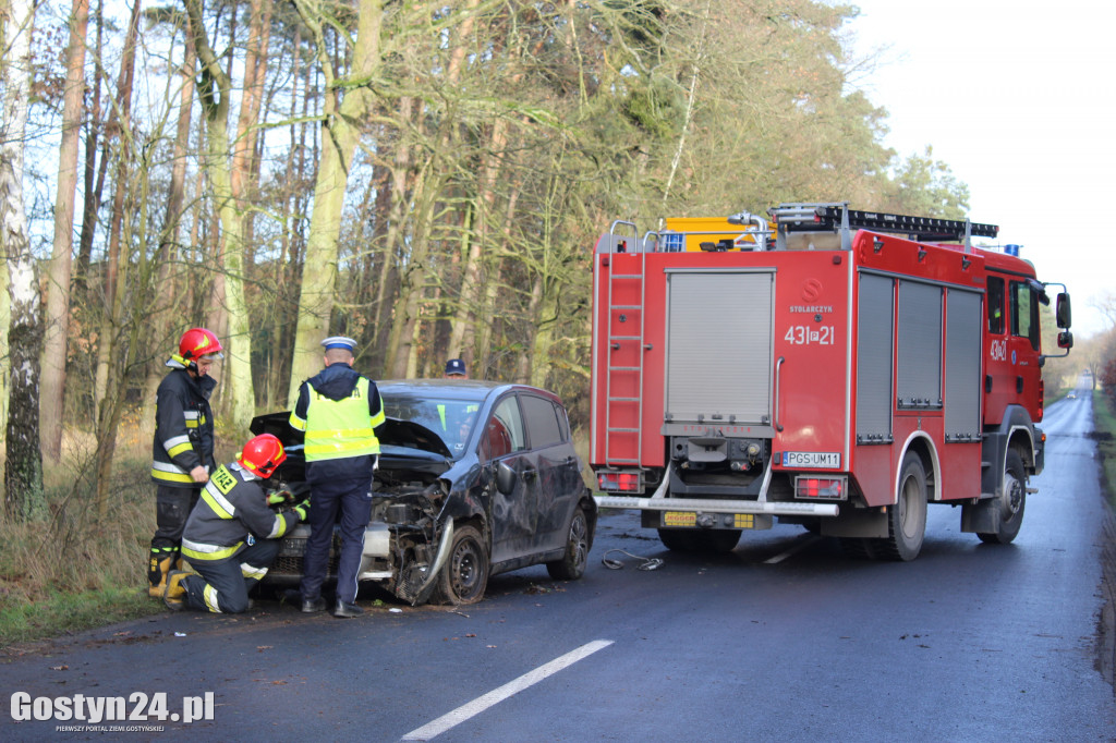 Auto wypadło z drogi na trasie Drzewce-Śmiłowo
