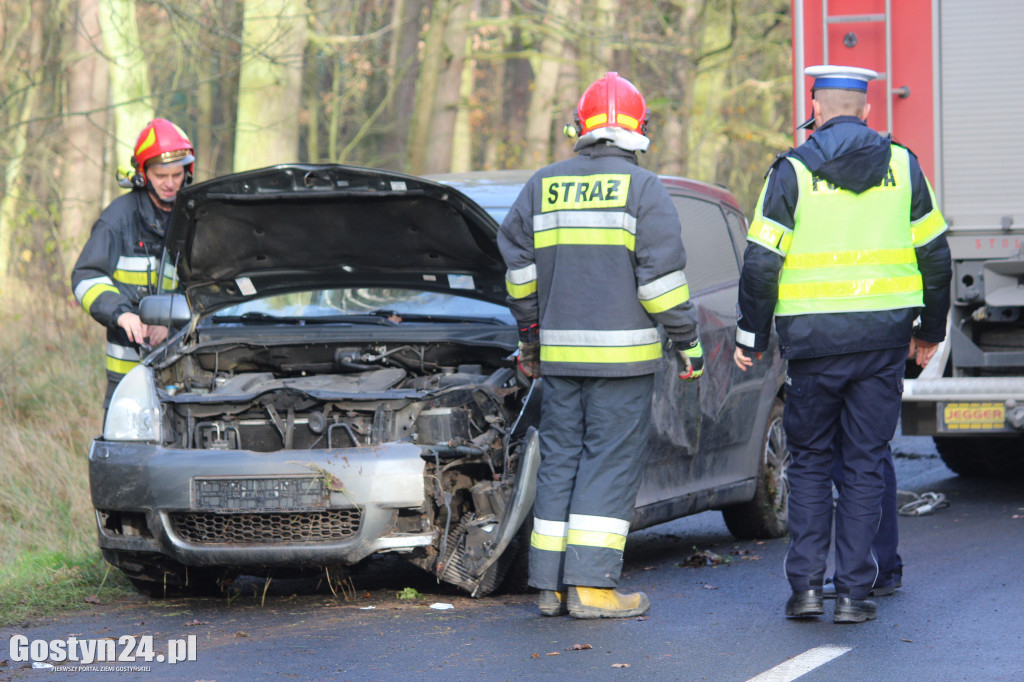 Auto wypadło z drogi na trasie Drzewce-Śmiłowo