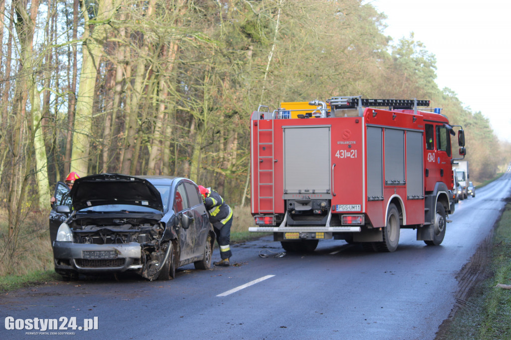 Auto wypadło z drogi na trasie Drzewce-Śmiłowo
