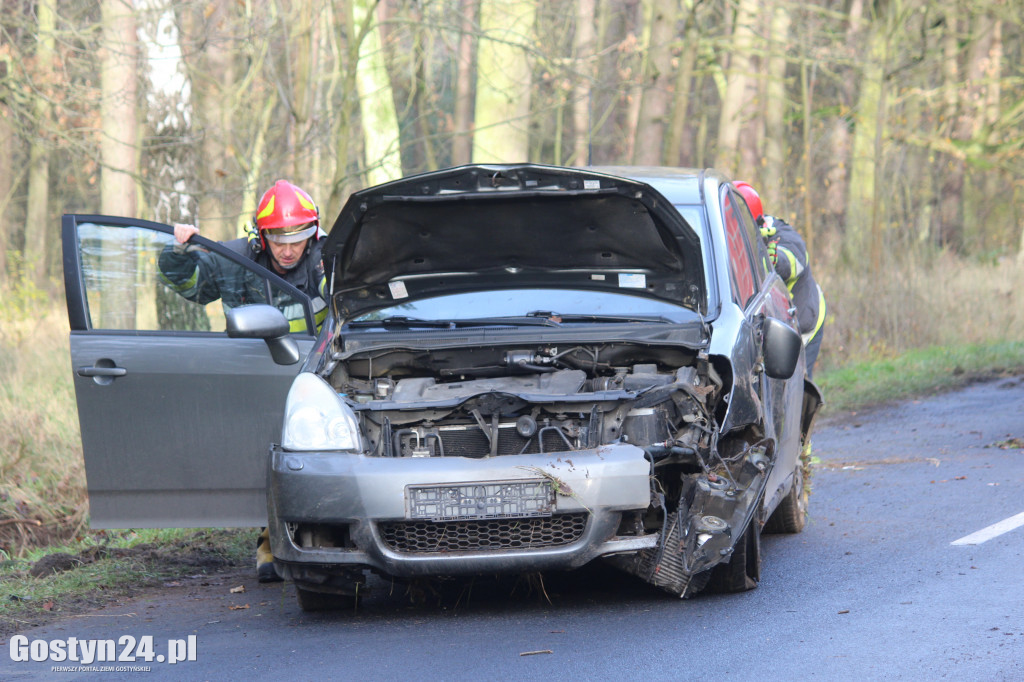 Auto wypadło z drogi na trasie Drzewce-Śmiłowo