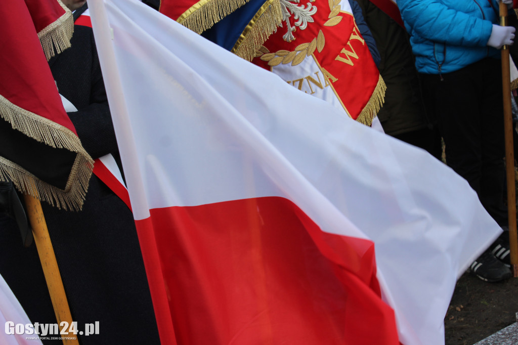 Manifestacja patriotyczna w Klonach i Starym Gostyniu