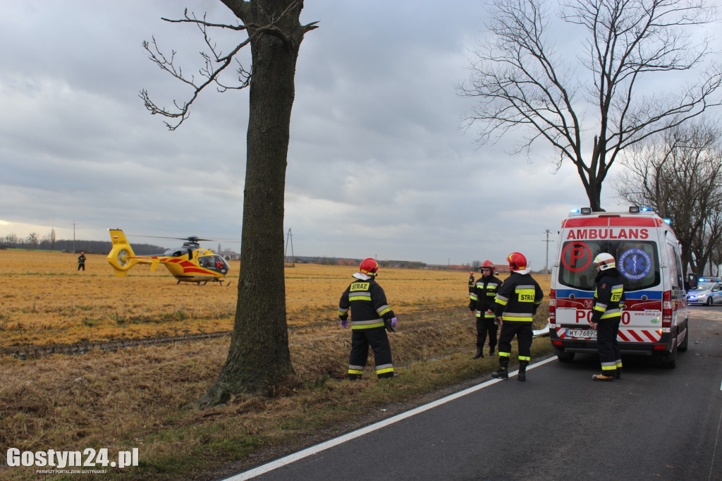 Wypadek na trasie Borek Wlkp.-Koszkowo