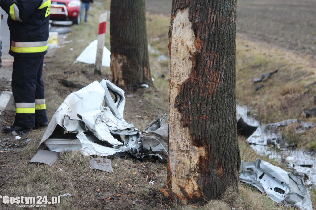 Wypadek na trasie Borek Wlkp.-Koszkowo
