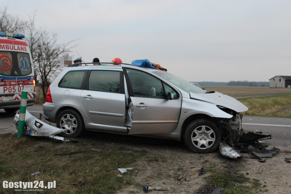 Zdarzenie drogowe w Szelejewie Drugim