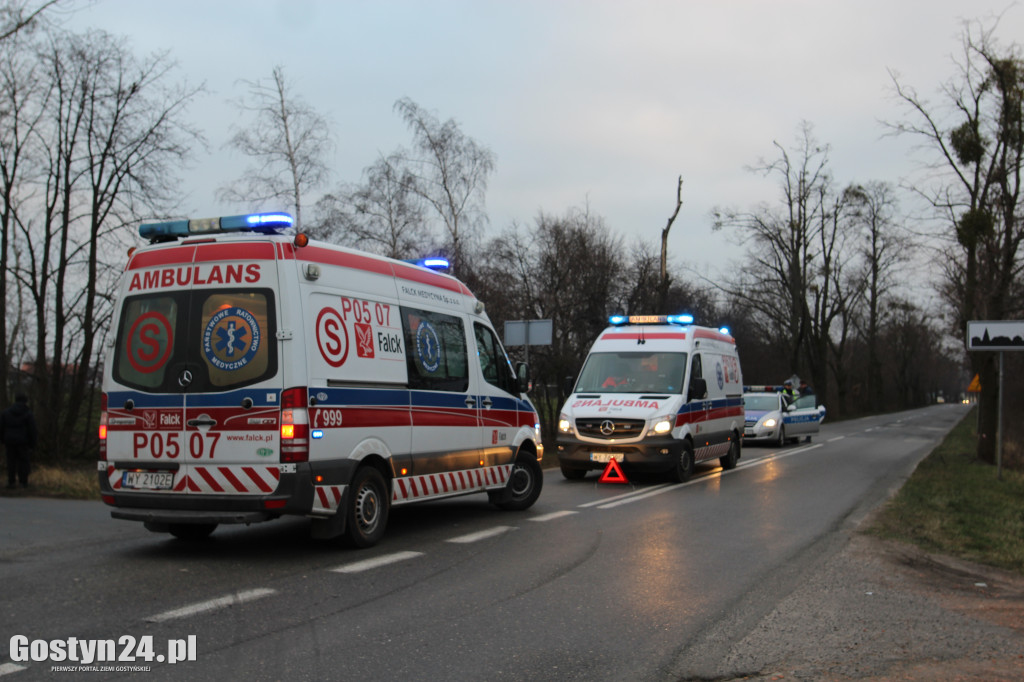 Zdarzenie drogowe w Szelejewie Drugim