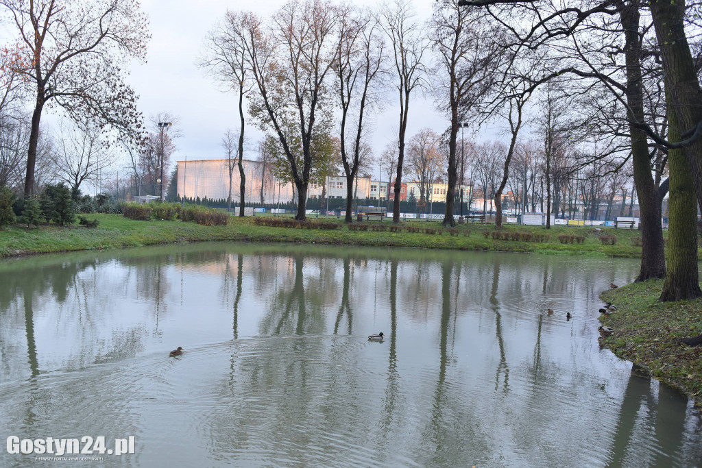 Wyspa ma być centrum rekreacyjno kulturalny